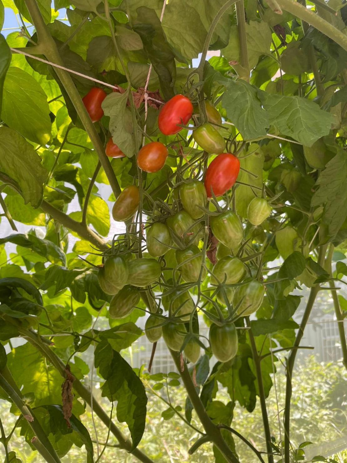 Nantou Fruit House Apartment Ren'ai Exterior photo